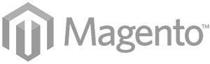 Magento Shopping Cart Website Development