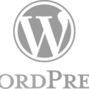 Wordpress Website Development Experts