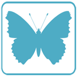 Atalanta Web Design Logo