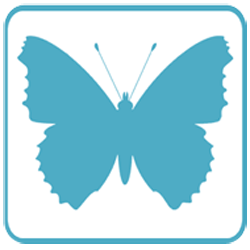 Atalanta Web Design Logo