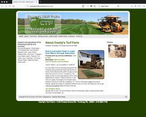 Web Design Portfolio - 044