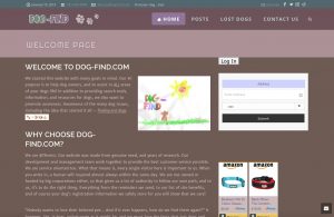 Web Design Portfolio - 062