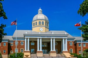 Township City Hall Municipal Web Design Services