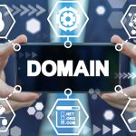 Domain Management Service