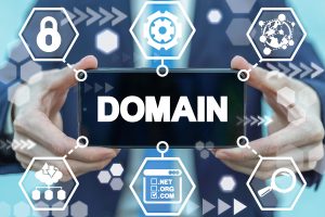 Domain Management Service