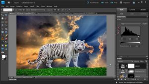 Photoshop Design Example