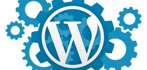 Wordpress Expertise