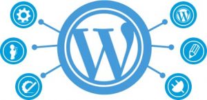 Wordpress Expert