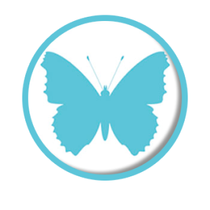 Web Design - Butterfly Logo