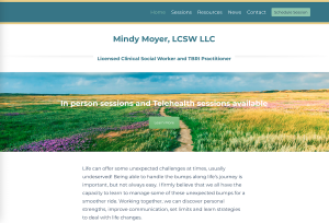 Mindy Moyer, LLC